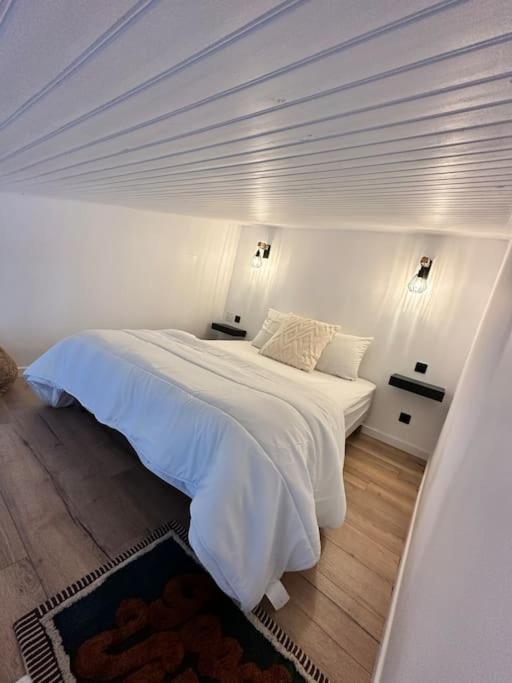 Appartement Duplex Lumineux à Nantes Extérieur photo